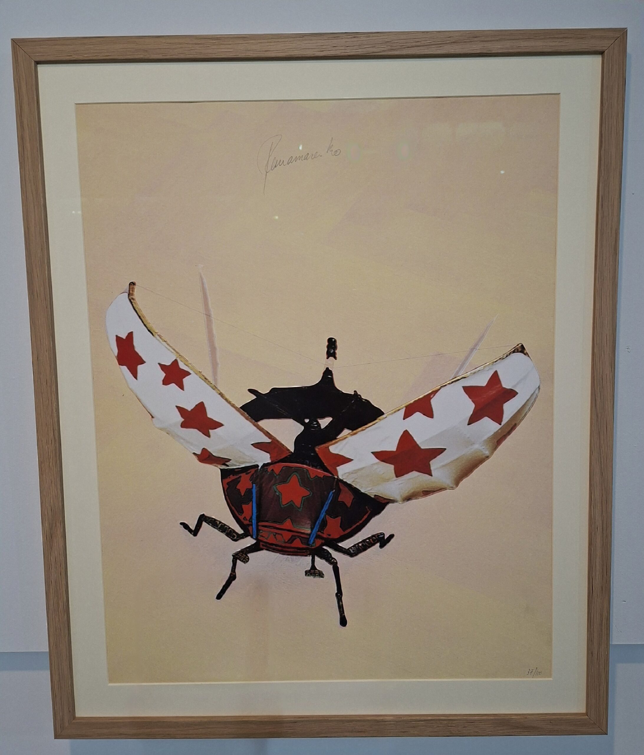 Panamarenko artwork presented by CORVAN ART