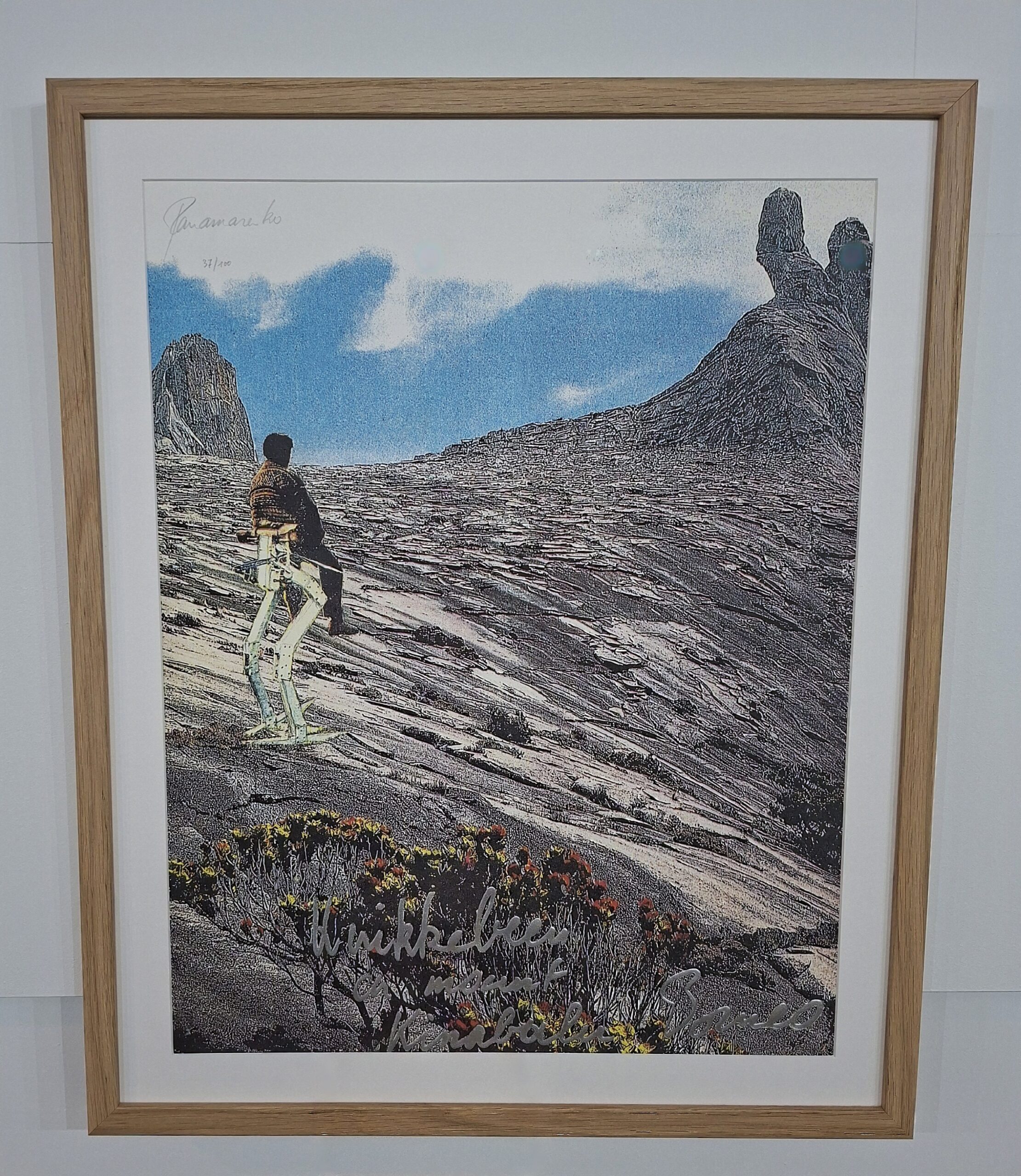 Panamarenko selected artwork