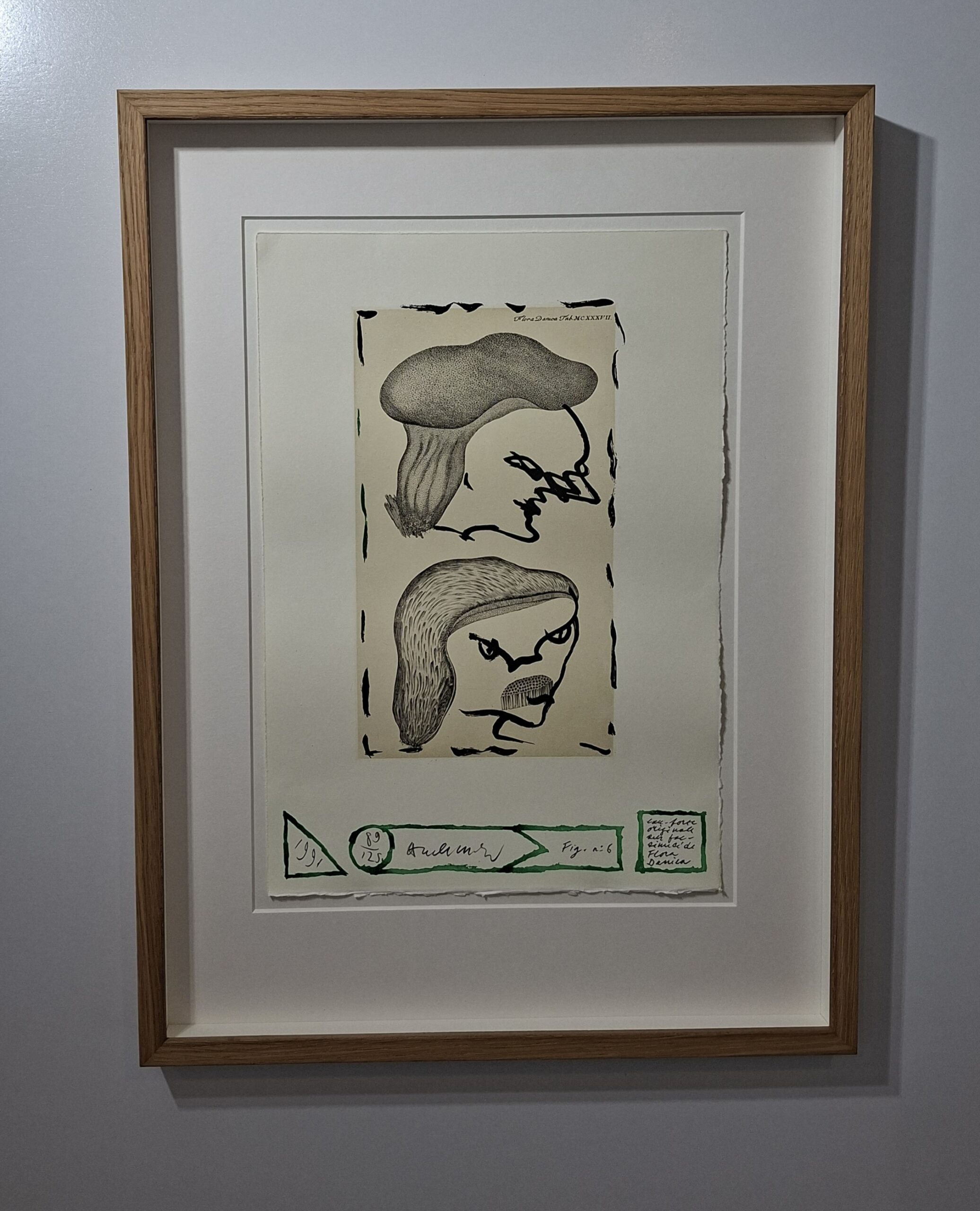 Selected work by Pierre Alechinsky
